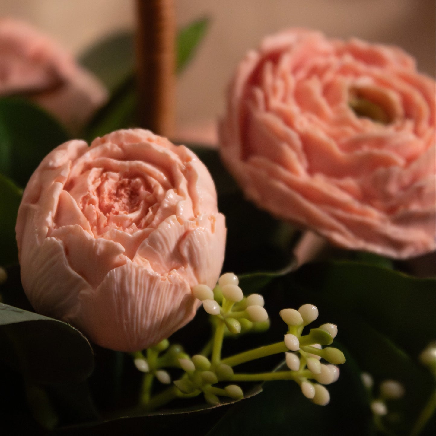The Cocoa Peony