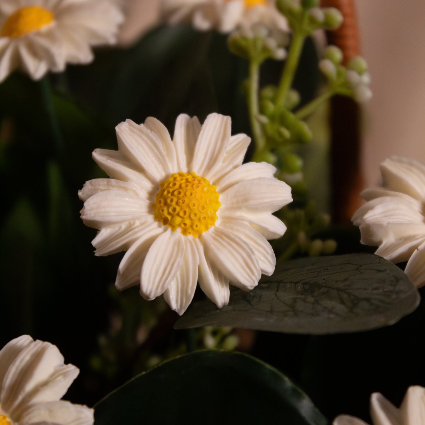 The Cocoa Daisy
