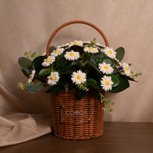 Cocoa Daisy