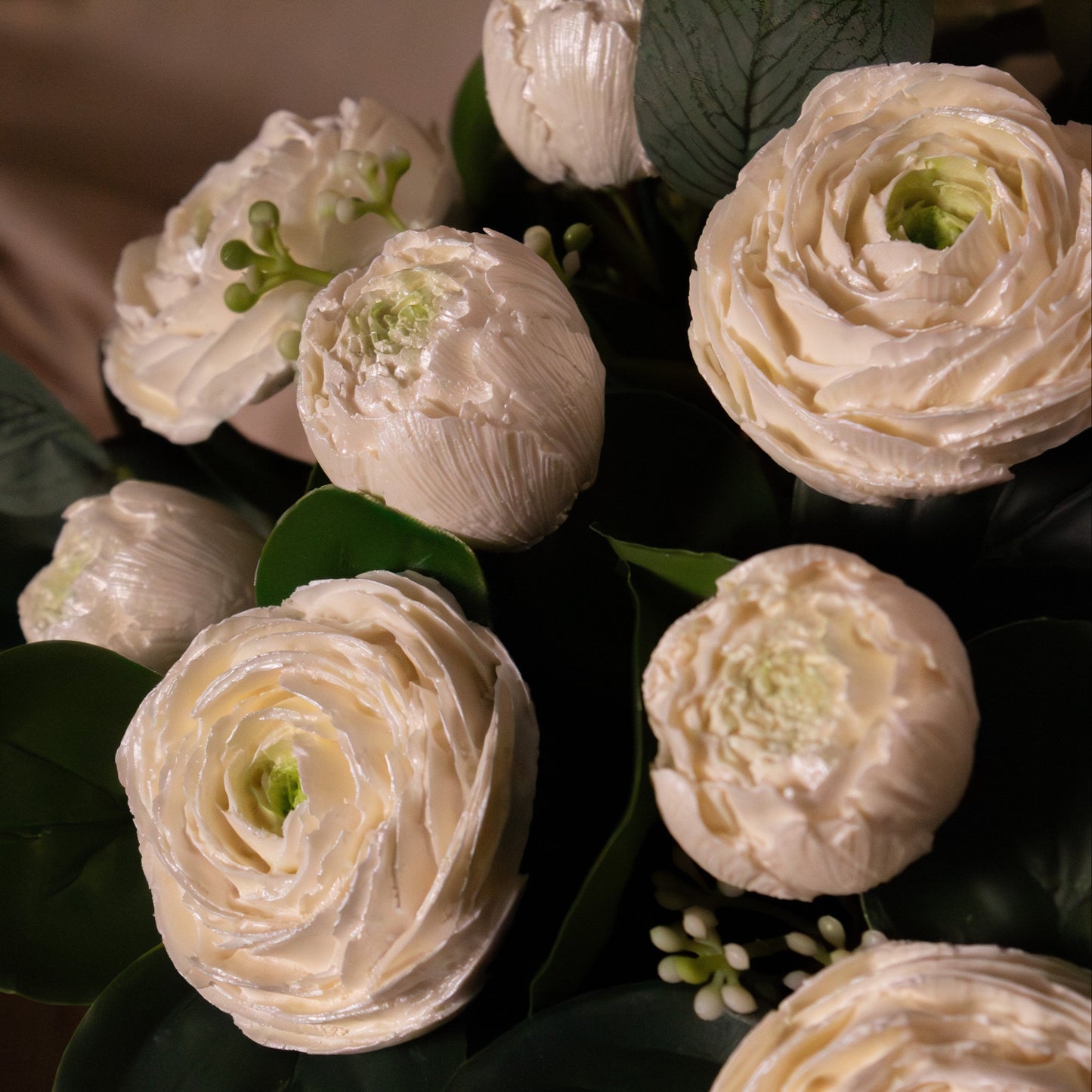 Cocoa Peony