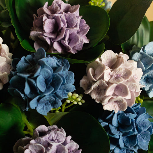 Cocoa Hydrangea