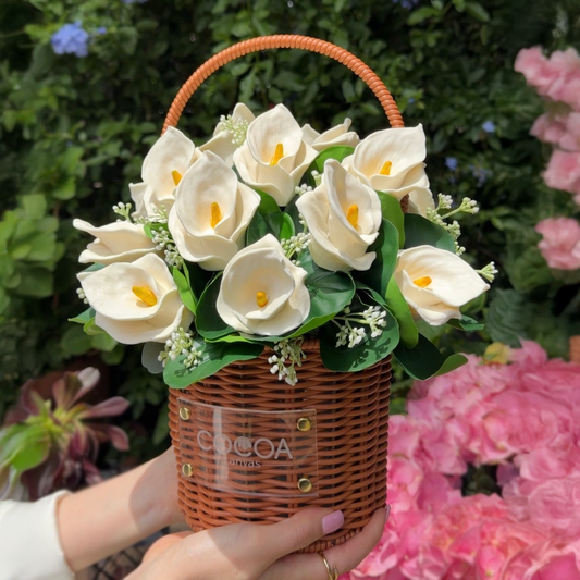 Cocoa Calla Lily