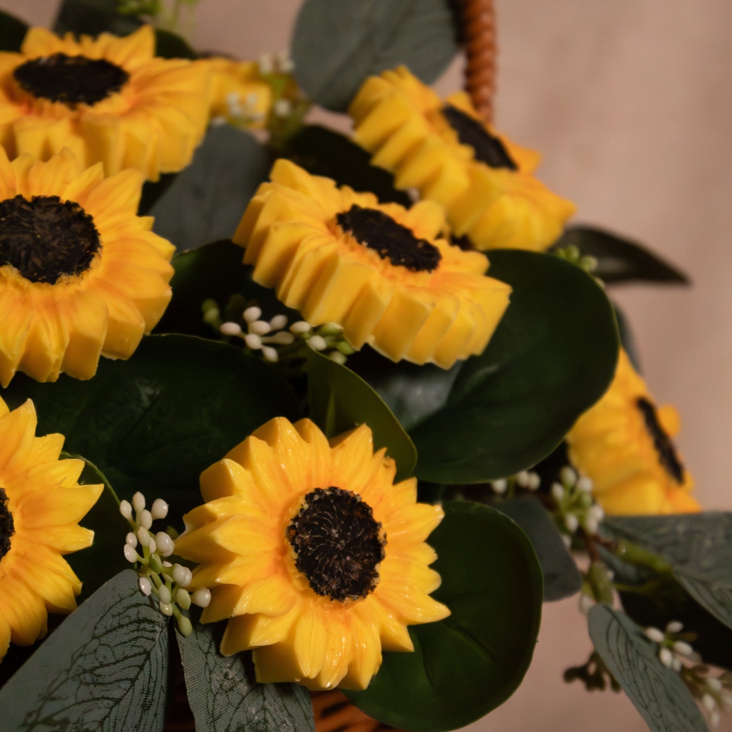 The Cocoa Sunflower