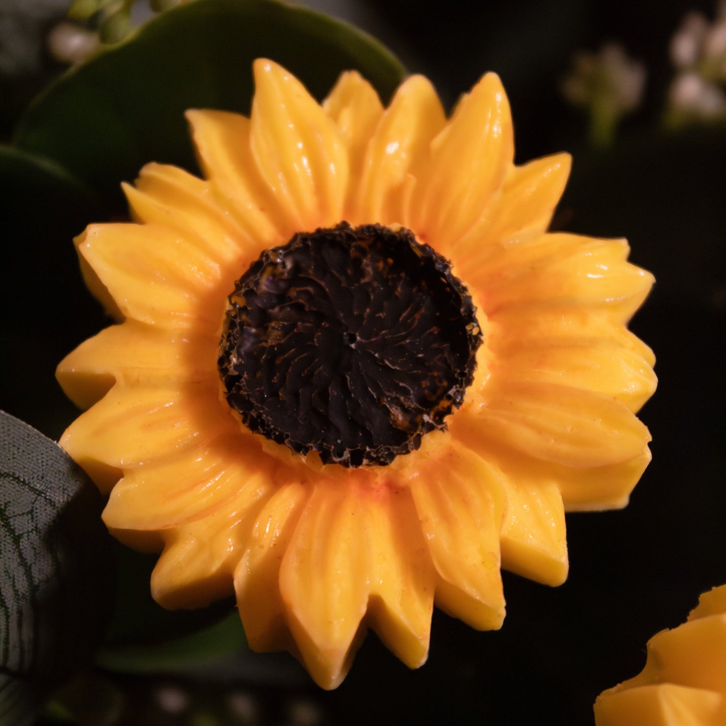 The Cocoa Sunflower