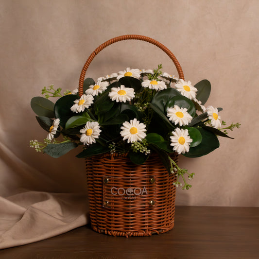 The Cocoa Daisy